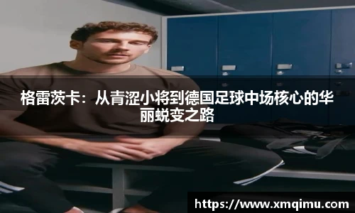 芒果体育官网入口