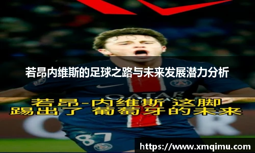 芒果体育官网入口