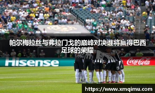 帕尔梅拉丝与弗拉门戈的巅峰对决谁将赢得巴西足球的荣耀