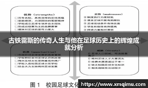 芒果体育官网入口