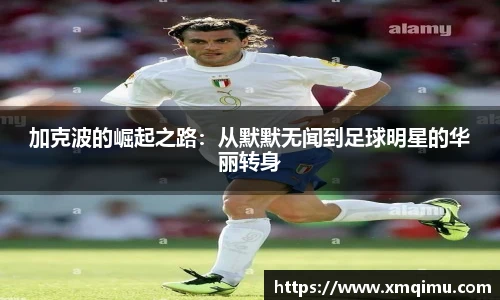 芒果体育官网入口
